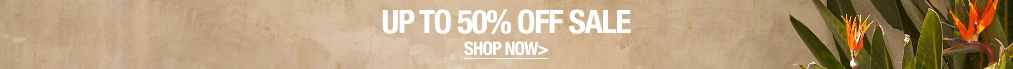 Promotional banner with 'Up to 50% Off Sale' text on a textured background with flowers.