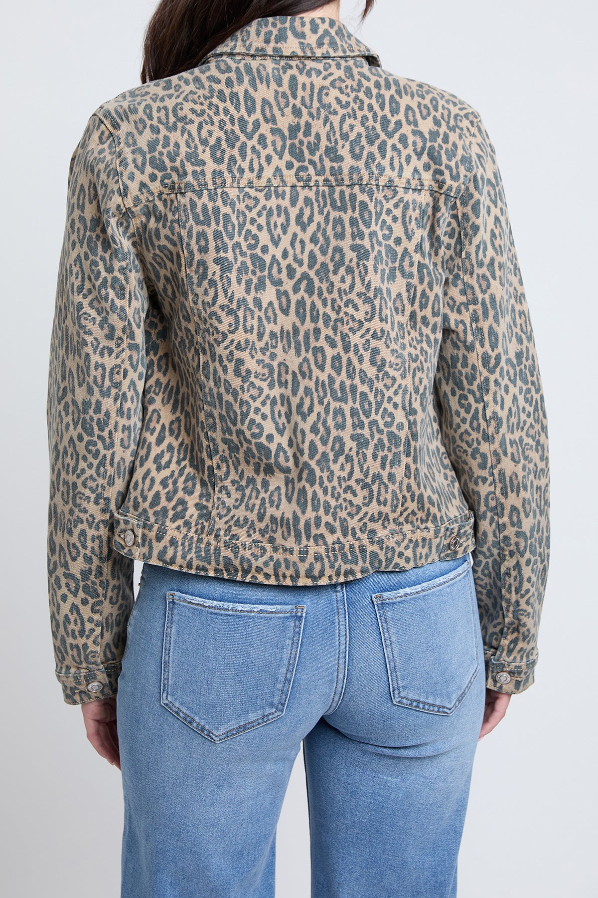 Cheetah
