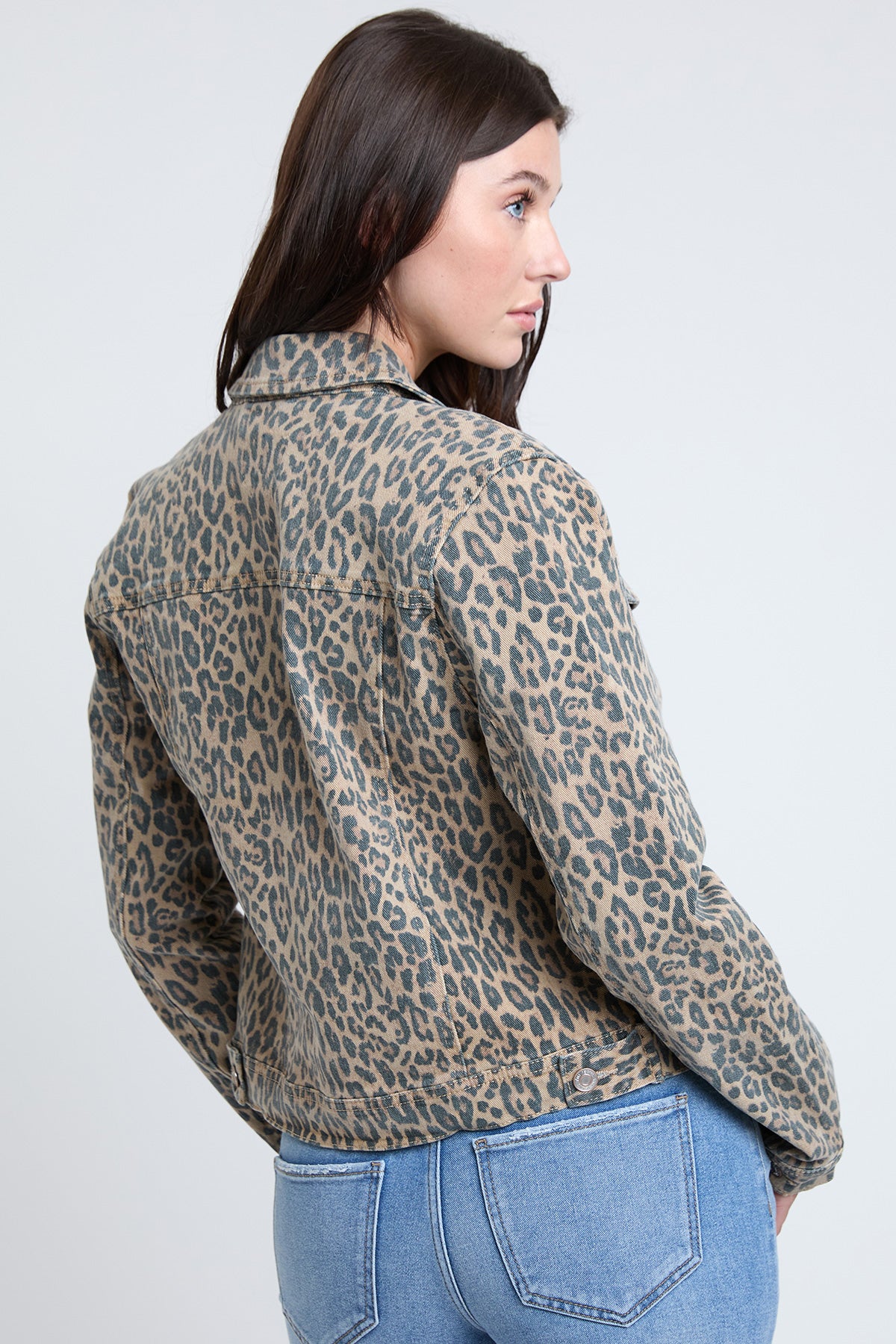 Cheetah